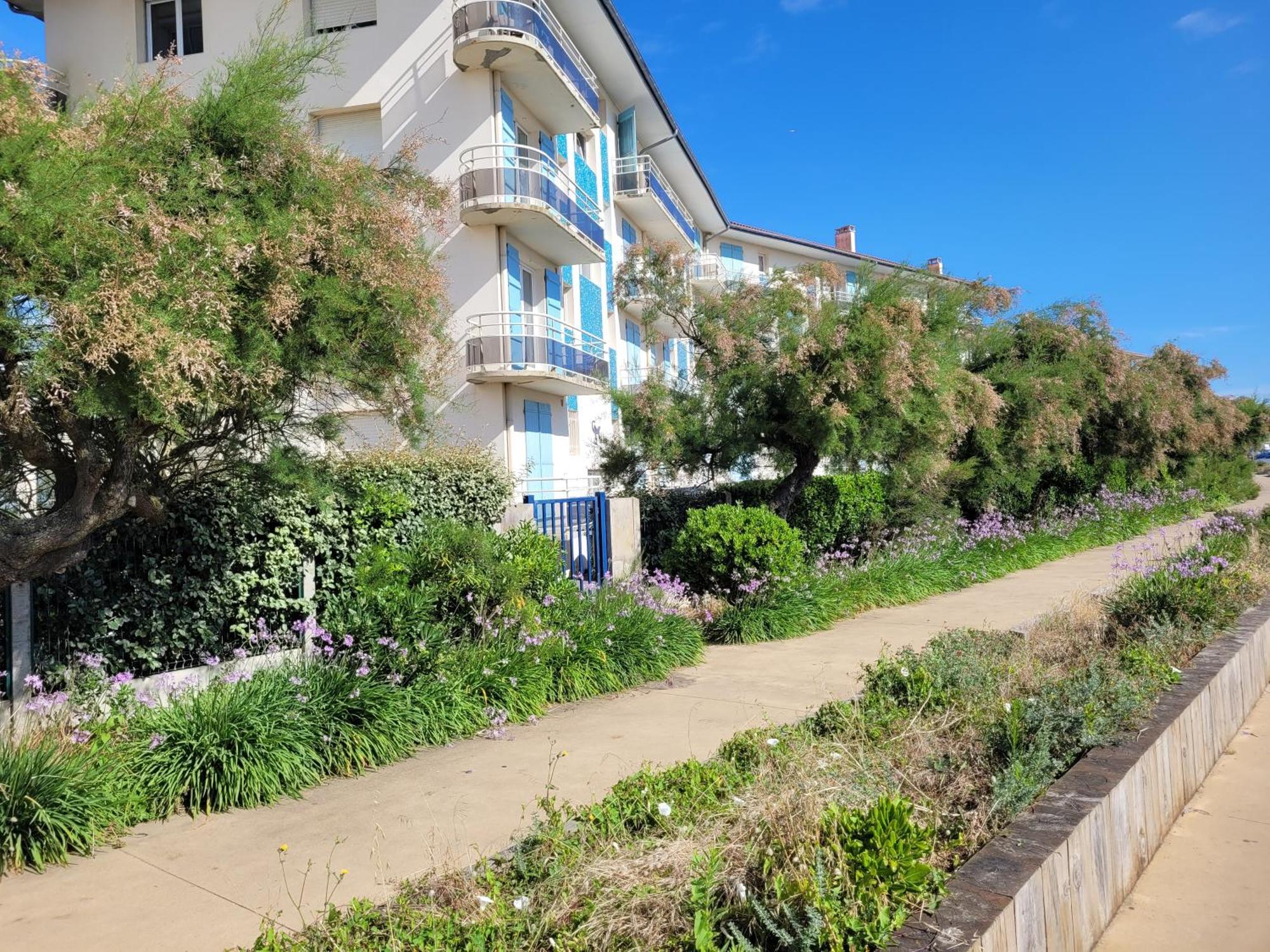Sable - Appartement Renove Pour 4 Personnes Soorts-Hossegor Dış mekan fotoğraf